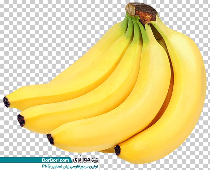 Banana Bread Lady Finger Banana Banana Peel PNG, Clipart, Banana, Banana Bread, Banana Family, Banana Peel, Banana Pepper Free PNG Download