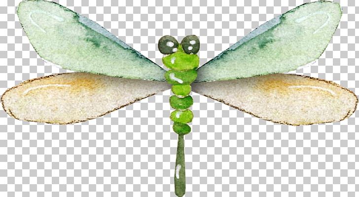 Dragonfly Insect Data Compression PNG, Clipart, Arthropod, Creative, Data Compression, Download, Insects Free PNG Download