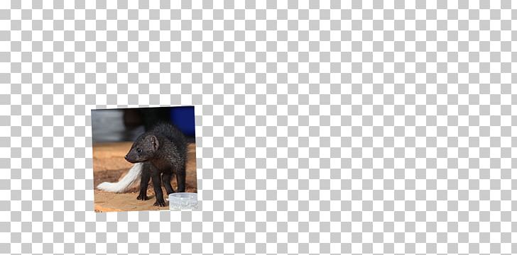 Gorilla Dog Fur Canidae Snout PNG, Clipart, Animals, Canidae, Dog, Dog Like Mammal, Fauna Free PNG Download