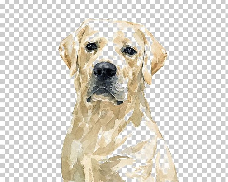 Labrador Retriever Golden Retriever Pit Bull Watercolor Painting PNG, Clipart, Animal, Animals, Carnivoran, Cartoon, Collie Free PNG Download