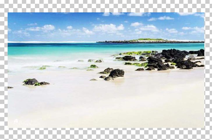 Sea Caribbean Beach Coast Ocean PNG, Clipart, Beach, Beautiful Beach, Caribbean, Coast, Coastal And Oceanic Landforms Free PNG Download