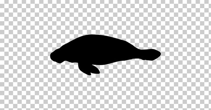 Sea Cows Computer Icons Animal Turtle PNG, Clipart, Animal, Black, Black And White, Carnivora, Carnivoran Free PNG Download