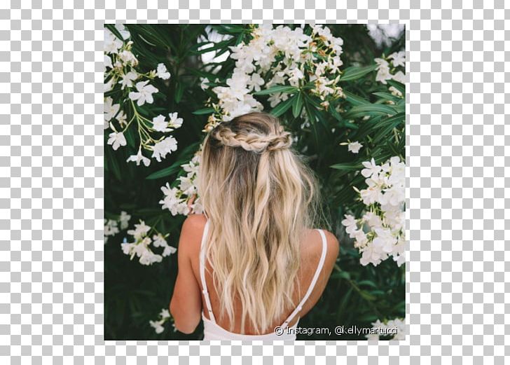 Blond Capelli Hairstyle Long Hair PNG, Clipart, Aesthetics, Beauty, Blond, Capelli, Dress Free PNG Download