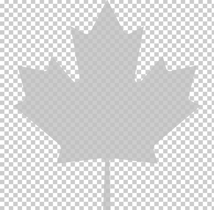 Flag Of Canada Maple Leaf PNG, Clipart, Angle, Black And White, Canada, Flag Of Canada, Flowering Plant Free PNG Download