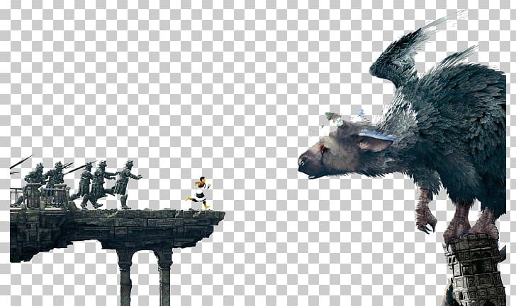 The Last Guardian The Ico & Shadow Of The Colossus Collection Video Game PNG, Clipart, Desktop Wallpaper, Extinction, Final Fantasy Xv, Fumito Ueda, Gameplay Free PNG Download