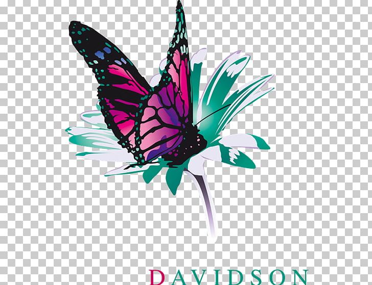 Davidson Luxembourg Consultant Adviesbureau Davidson Midi Pyrénées PNG, Clipart, Brush Footed Butterfly, Butterfly, Chief Executive, Consultant, Consulting Free PNG Download
