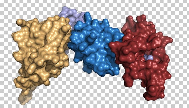 International Genetically Engineered Machine Protein Structure Scaffold Protein Biochemistry PNG, Clipart, Architectural Engineering, Biochemistry, Biology, Chosen, Enzyme Free PNG Download