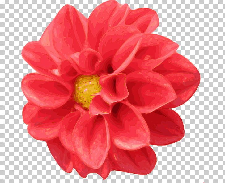 Dahlia Scalable Graphics PNG, Clipart, Chrysanths, Color, Dahlia, Daisy Family, Download Free PNG Download