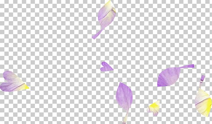 Flowering Plant PNG, Clipart, Art, Flower, Flowering Plant, Lavender, Lilac Free PNG Download