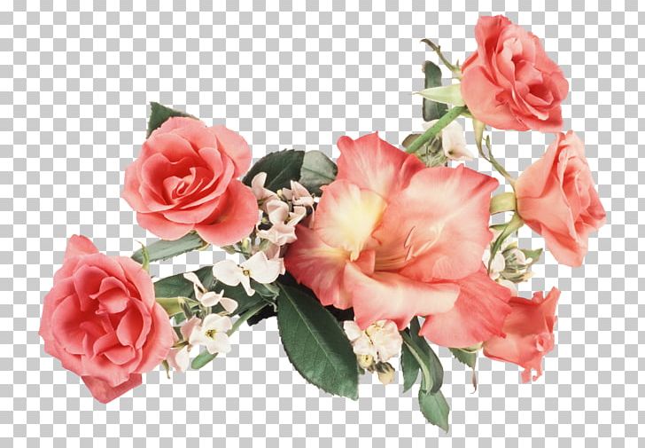Garden Roses Floral Design Cold Brew Cut Flowers Coffee PNG, Clipart, Artificial Flower, Azalea, Coffee, Cold Brew, Composition Free PNG Download