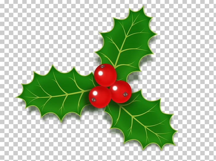 Common Holly Christmas Stock Photography PNG, Clipart, Aquifoliales, Background Green, Christmas, Fall Leaves, Flowering Plant Free PNG Download