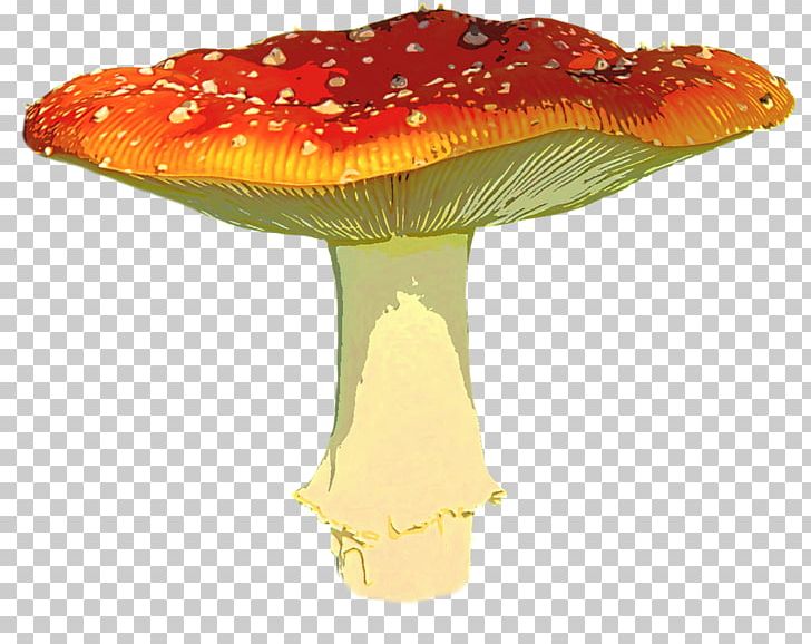 Mushroom PNG, Clipart, Amanita, Amanita Muscaria, Autumn, Clip Art, Color Free PNG Download