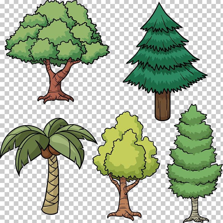 Tree Drawing Cartoon Pine PNG, Clipart, Arecaceae, Branch, Fruit Nut, Geometric Pattern, Grass Free PNG Download