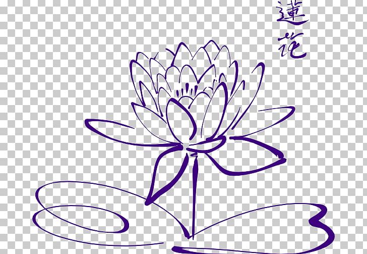 Drawing Sacred Lotus Line Art PNG, Clipart, Area, Art, Artwork, Black And White, Cut Flowers Free PNG Download