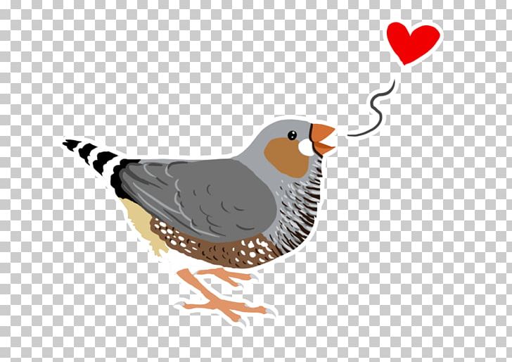 Zebra Finch Bird Common Nightingale Flock PNG, Clipart, Beak, Bird, Chicken, Common Nightingale, Etsy Free PNG Download