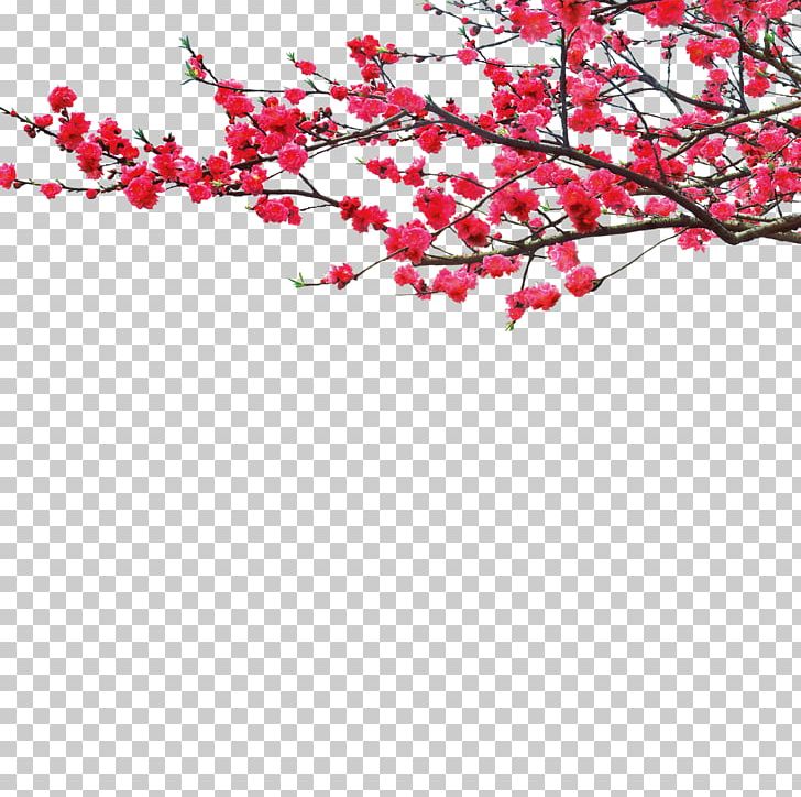 China Plum Blossom .dwg PNG, Clipart, Branch, China, Encapsulated Postscript, Festival Vector, Flower Free PNG Download