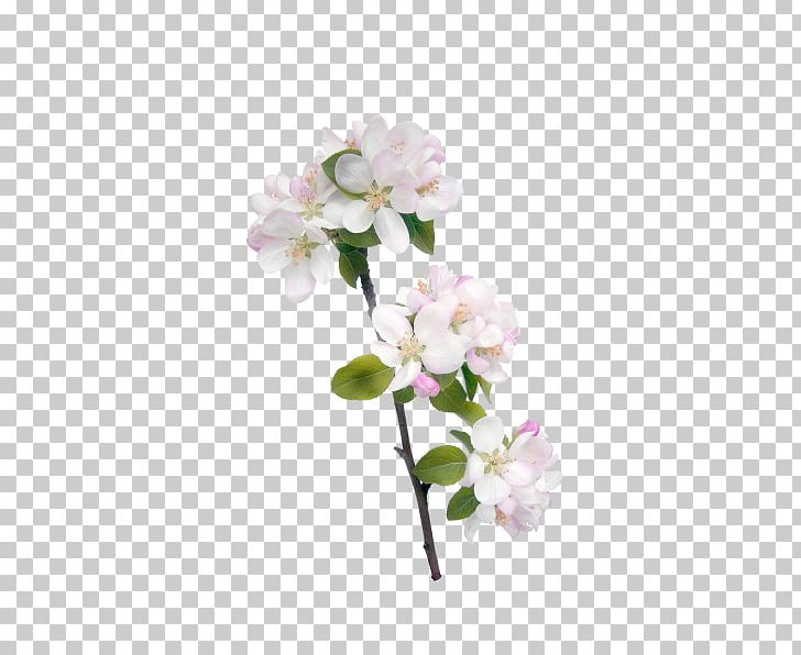 Flower Icon PNG, Clipart, Artificial Flower, Branch, Cherry Blossom, Christmas Decoration, Color Free PNG Download