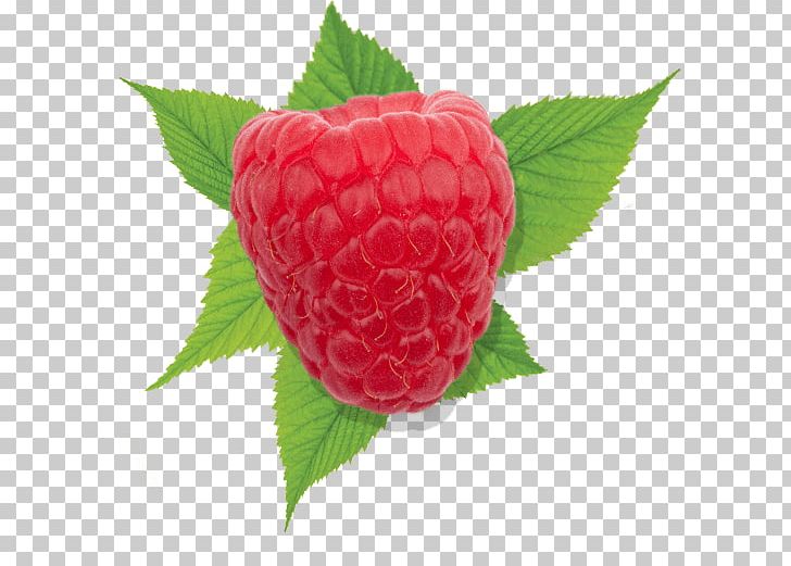 Strawberry Red Raspberry Driscoll's PNG, Clipart,  Free PNG Download