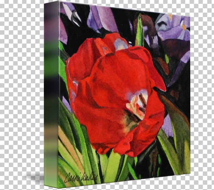 Amaryllis Belladonna Gallery Wrap Acrylic Paint Tulip Canvas PNG, Clipart, Acrylic Paint, Acrylic Resin, Amaryllis, Amaryllis Belladonna, Art Free PNG Download
