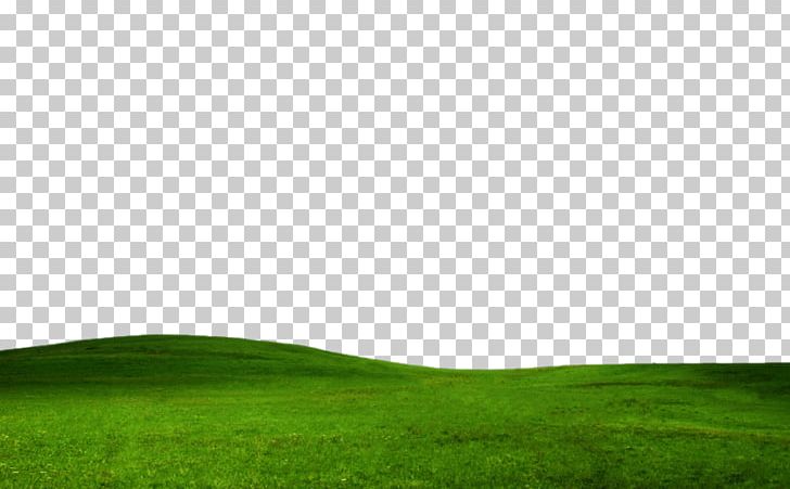 Lawn Green Sky Grassland PNG, Clipart, Angle, Computer, Computer Wallpaper, Field, Grass Free PNG Download