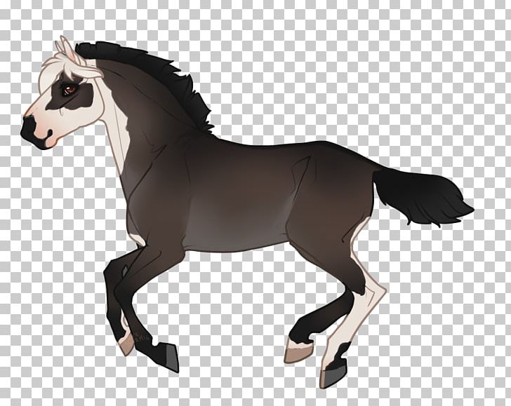 Mustang Pony Foal Rein Mare PNG, Clipart, Animal Figure, Art, Bridle, Colt, English Riding Free PNG Download