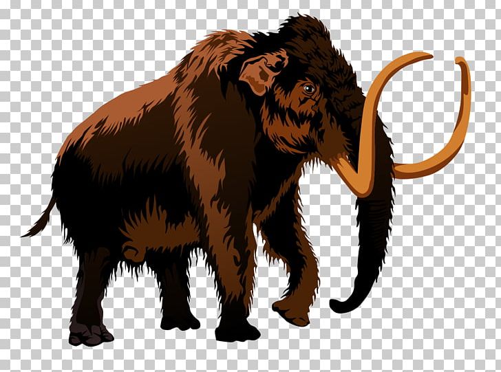 Woolly Mammoth Triceratops Free Content PNG, Clipart, African Elephant, Blog, Cattle Like Mammal, Clip Art, Dinosaur Free PNG Download