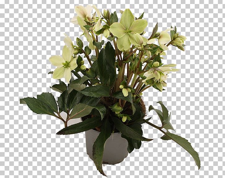 Floral Design Cut Flowers Flowerpot Flower Bouquet PNG, Clipart, Artificial Flower, Branch, Cut Flowers, Floral Design, Floristry Free PNG Download