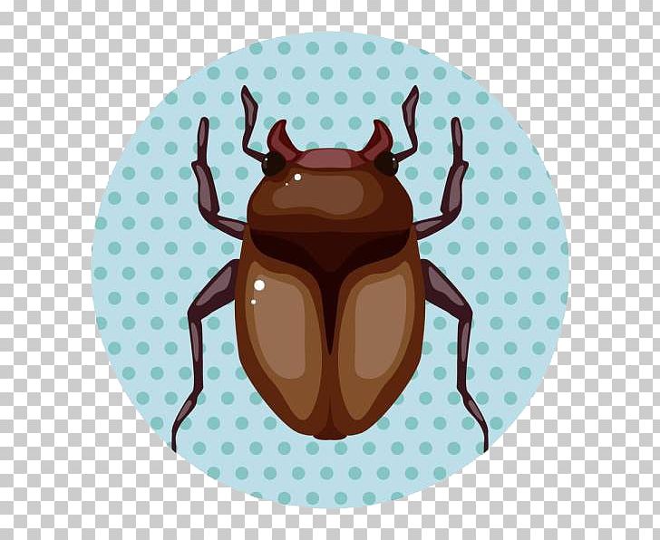 Insect Cartoon Illustration PNG, Clipart, Animals, Antler, Black, Brown, Call Out Free PNG Download