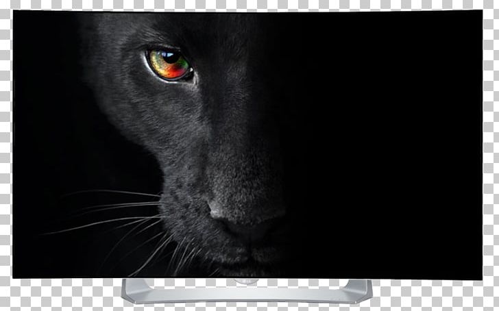 LG B6V OLED LG OLED-C8 4K Resolution Ultra-high-definition Television PNG, Clipart, Black And White, Black Cat, Black Panther, Cat, Cat Like Mammal Free PNG Download