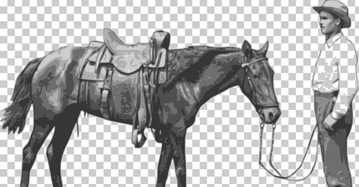 Mule Mustang Stallion Equestrian Bridle PNG, Clipart, Bridle, Cowboy, Equestrian, Halter, Horse Free PNG Download