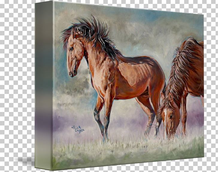 Mustang Stallion Mare Watercolor Painting Ecoregion PNG, Clipart, 2019 Ford Mustang, Bridle, Ecoregion, Ecosystem, Fauna Free PNG Download