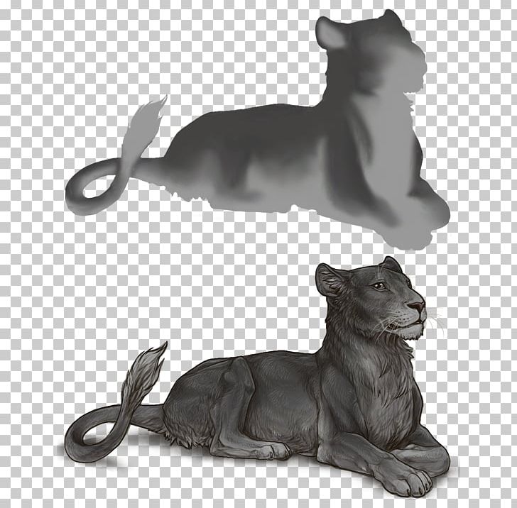 Cat Cougar Panther Felidae PNG, Clipart, Animal, Animals, Art, Big Cats, Black And White Free PNG Download