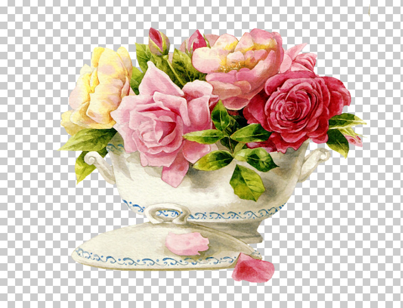 Garden Roses PNG, Clipart, Antique, Blog, Floral Design, Flower, Flower Bouquet Free PNG Download