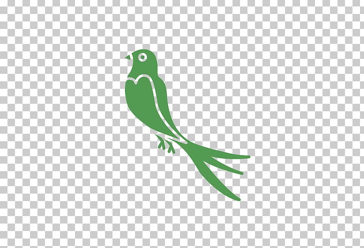 Beak Swallow Lovebird PNG, Clipart, Animal, Animals, Beak, Bird, Bird Control Free PNG Download