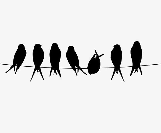Cartoon Bird PNG, Clipart, Animal, Bird Clipart, Birds, Black, Cartoon Clipart Free PNG Download