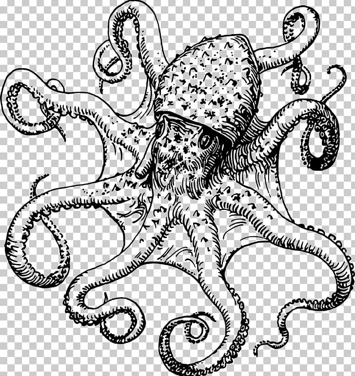 Octopus Drawing PNG, Clipart, Artwork, Black And White, Cartoon, Cephalopod, Chibi Free PNG Download