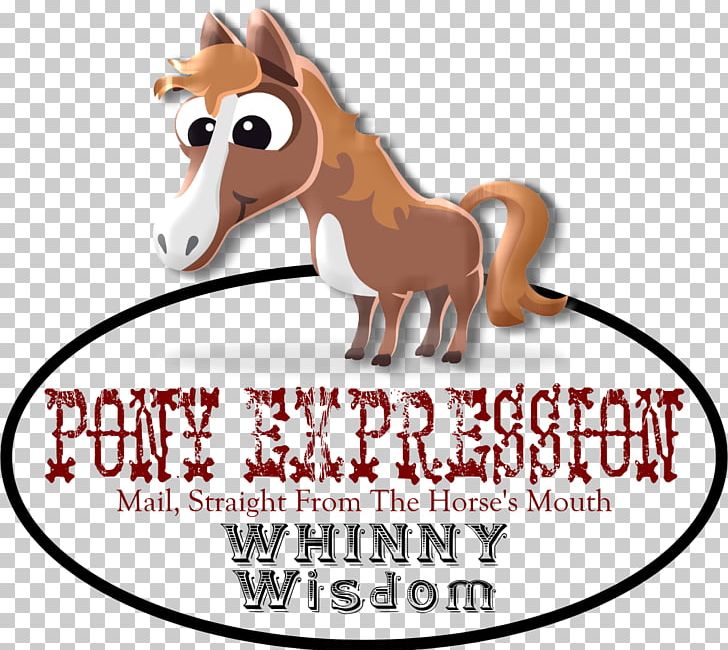 Pony Mustang Hartselle Downtown Whinny Widsom Pack Animal PNG, Clipart, Animal Figure, Colt, Donkey, Greeting, Greeting Note Cards Free PNG Download