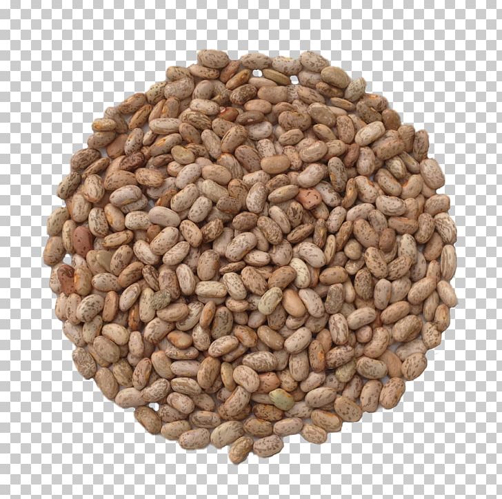 Refried Beans Common Bean Seed Nut Soybean PNG, Clipart, Broad Bean, Chia, Commodity, Common Bean, Flax Free PNG Download