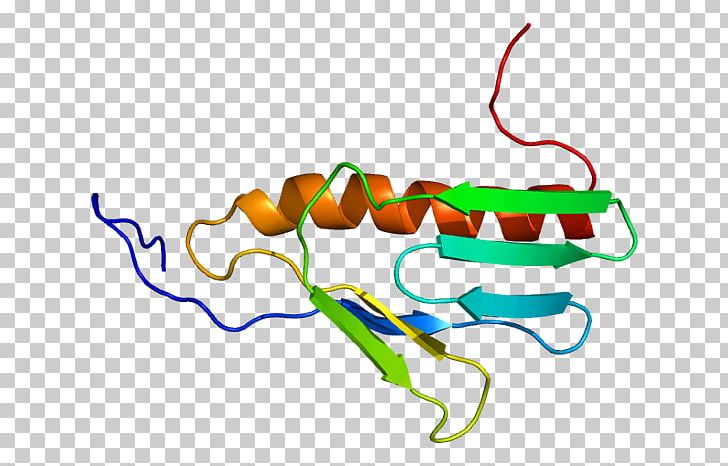 Ribosome Ribosomal Protein Gene Protein Biosynthesis PNG, Clipart, Area, Artwork, Biology, Gene, Human Free PNG Download