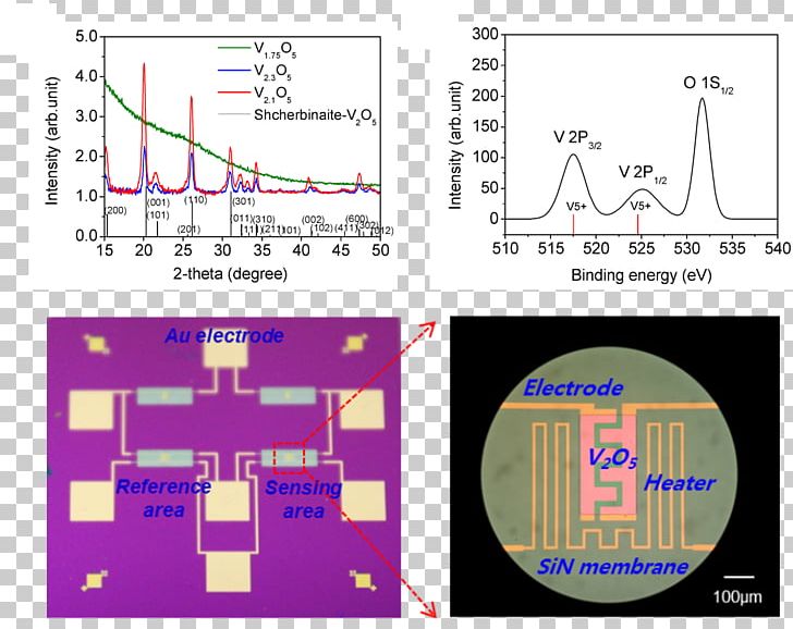 Small Molecule DNA And RNA Binders: From Synthesis To Nucleic Acid Complexes Calorimeter Heckler & Koch P11 Technology Differential Scanning Calorimetry PNG, Clipart, Angle, Area, Calorimeter, Diagram, Differential Scanning Calorimetry Free PNG Download