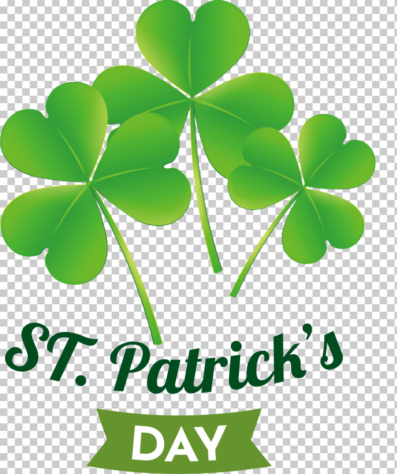 Shamrock PNG, Clipart, Biology, Green, Large, Leaf, Meter Free PNG Download