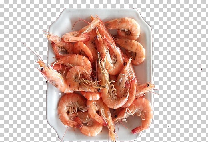 Caridea Recipe Dish Shrimp PNG, Clipart, Animal Source Foods, Caridea, Caridean Shrimp, Cartoon Island, China Free PNG Download