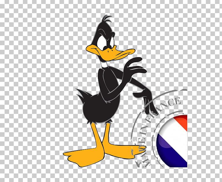 Daffy Duck Bugs Bunny Donald Duck Porky Pig PNG, Clipart,  Free PNG Download