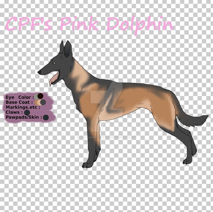 Dog Breed Leash Australia Snout PNG, Clipart, Animals, Australia, Baking, Breed, Carnivoran Free PNG Download