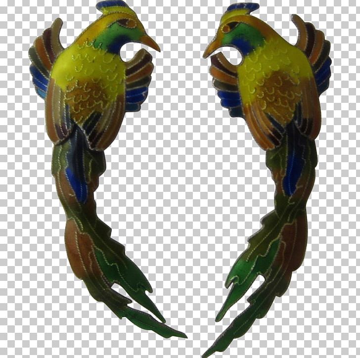 Parrot Bird Parakeet Finch Macaw PNG, Clipart, Animal, Animals, Beak, Bird, Common Pet Parakeet Free PNG Download