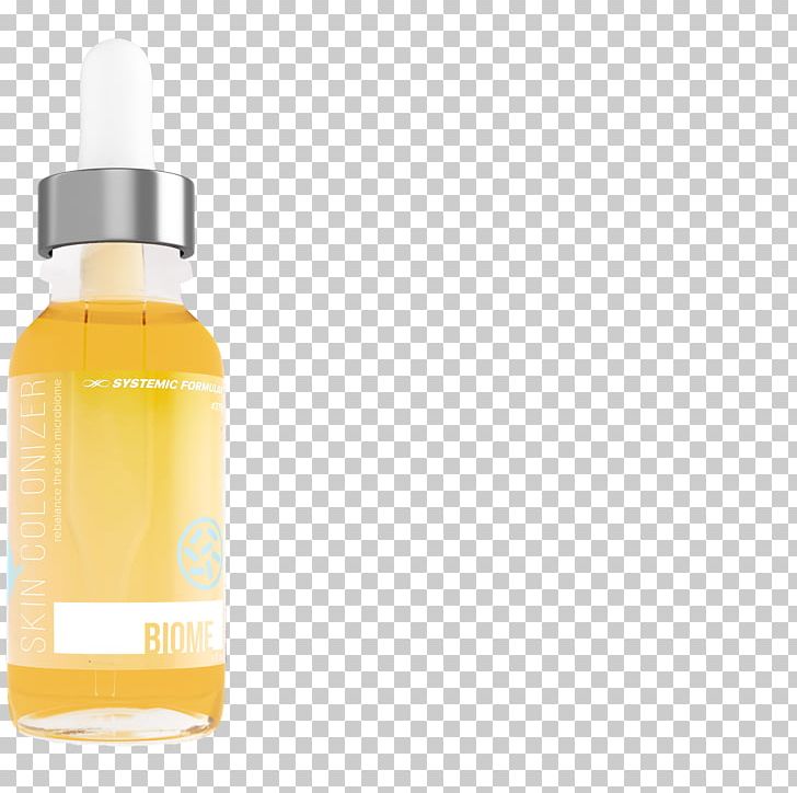 Borage Candlenut Oil Jojoba Oil Hemp Oil PNG, Clipart, Borage, Bottle, Candlenut, Candlenut Oil, Coconut Oil Free PNG Download