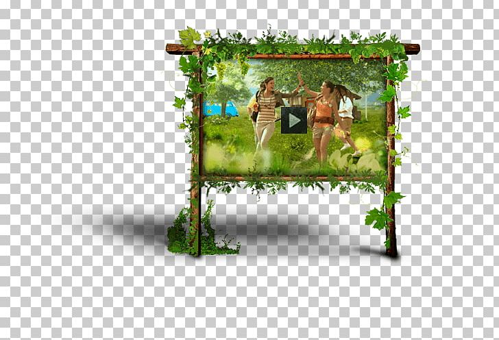 Frames Tree PNG, Clipart, Flora, Grass, Nature, Picture Frame, Picture Frames Free PNG Download