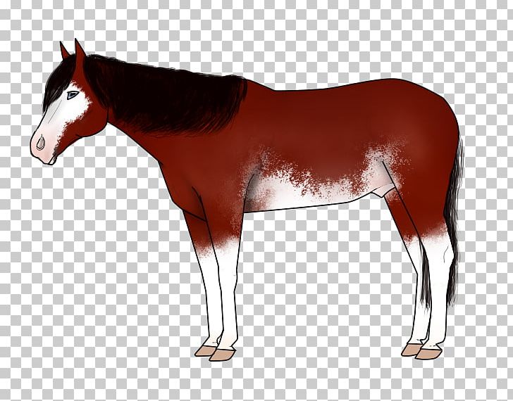 Mane Mustang Foal Colt Stallion PNG, Clipart, Bridle, Colt, Dog Harness, Foal, Halter Free PNG Download