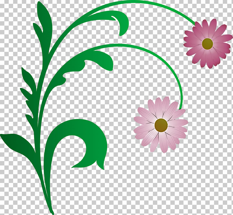 Flower Frame Decoration Frame Floral Frame PNG, Clipart, Camomile, Chamomile, Daisy, Daisy Family, Decoration Frame Free PNG Download