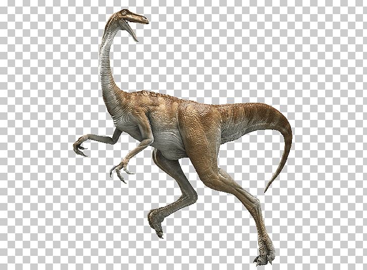 Velociraptor Dinosaur Dilophosaurus Gallimimus Tyrannosaurus PNG, Clipart, Action Film, Animal, Batman Arkham Knight, Dilophosaurus, Dinosaur Free PNG Download